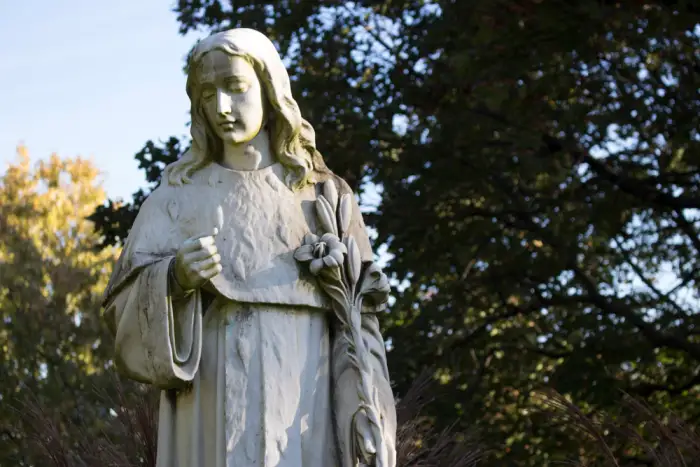 a statue of St.Casimir