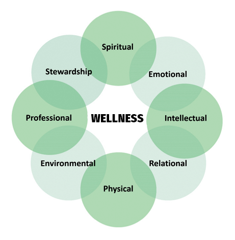 a visual depicting the 8 values of the Division of Student Experience. Spiritual, Emotional, Intellectual,Rational, Physical,Environmental, Professional, and Stewardship 